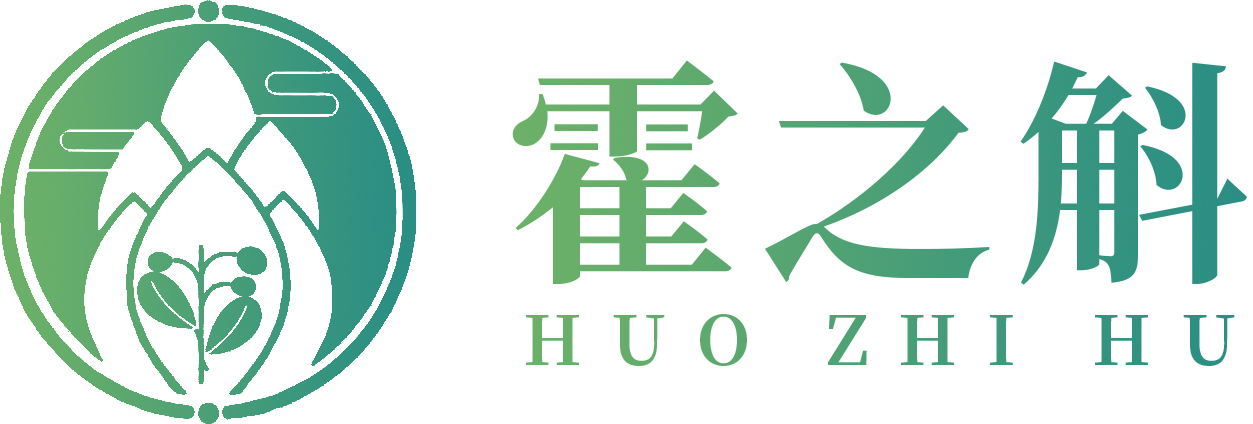 霍之斛（上海）科技有限公司
