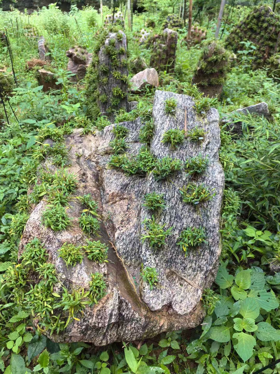 微信图片_20240827113717