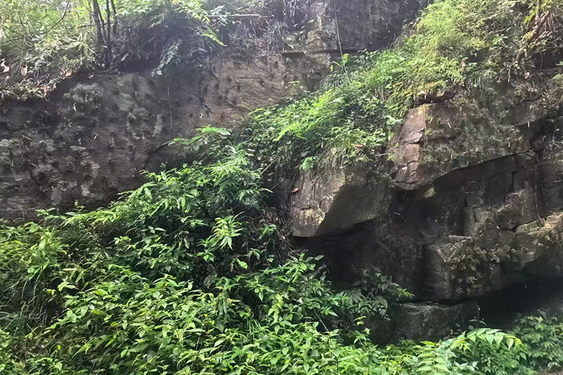 生长环境